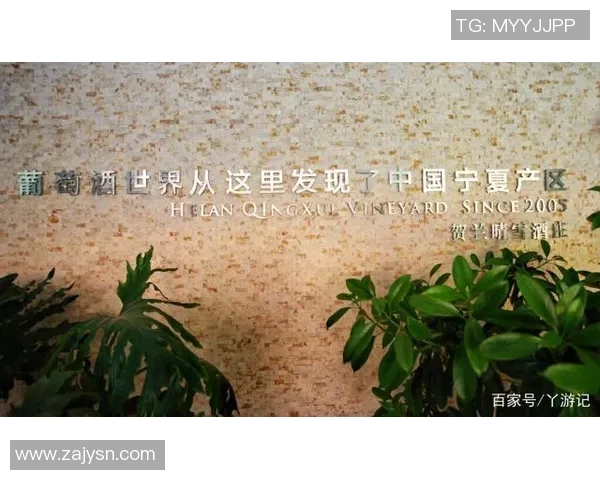 武汉飞盘队的逆袭之路：从默默无闻到全国瞩目的飞盘热潮解析