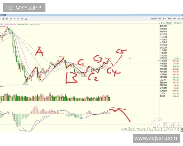 深入分析上海街舞队独特的防守策略与战术运用